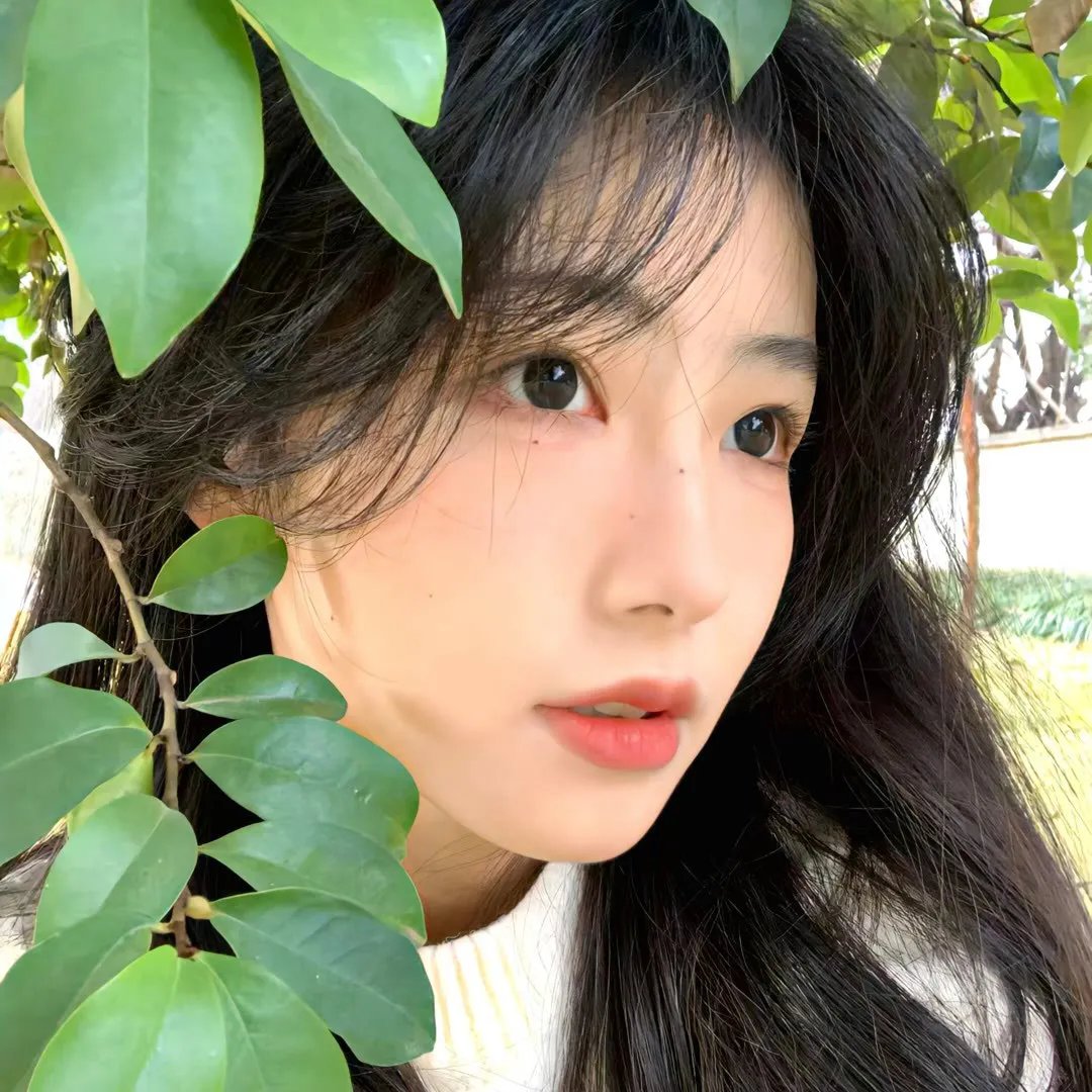 蒙特娄的耶稣